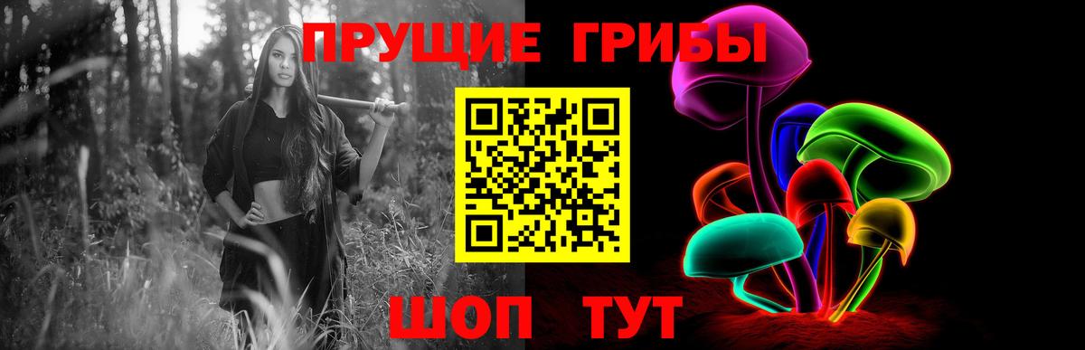 Псилоцибиновые грибы Psilocybe  Вход с VPN  Дзержинск 